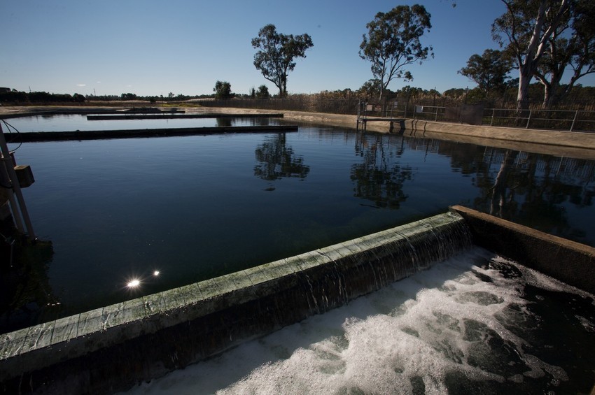 Wastewater treatment at Penrith.