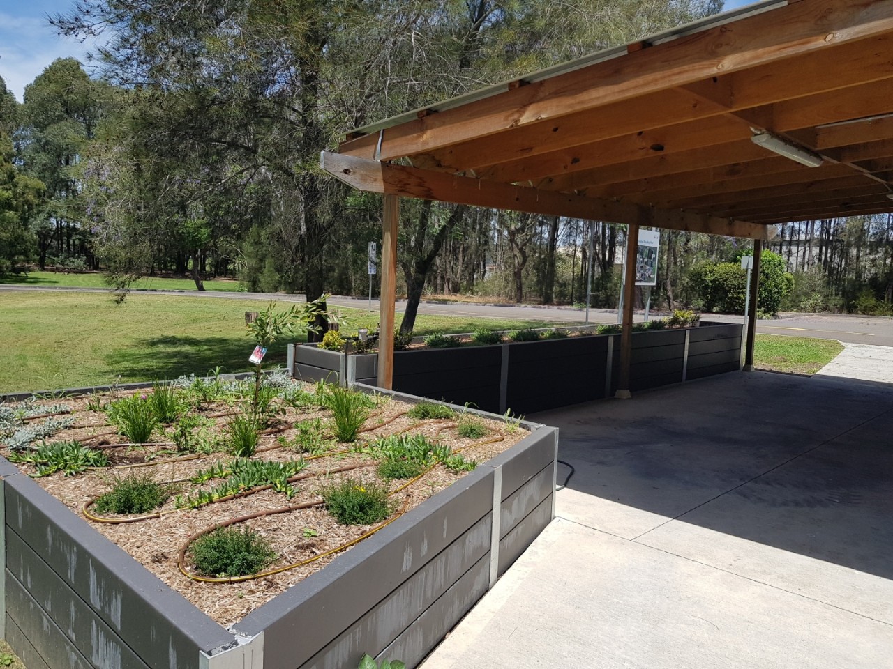 Garden bed with composted biosolids, mulch and plants.
