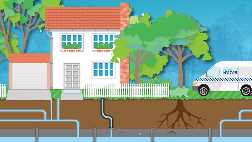 Graphic image of house with large tree, roots, underground pipes and a Sydney Water van.