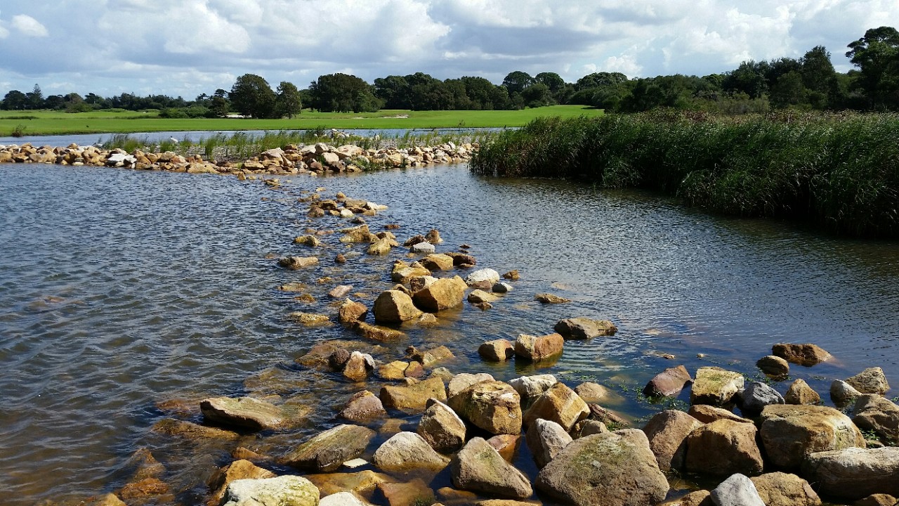 Waterway surrounded by parkland