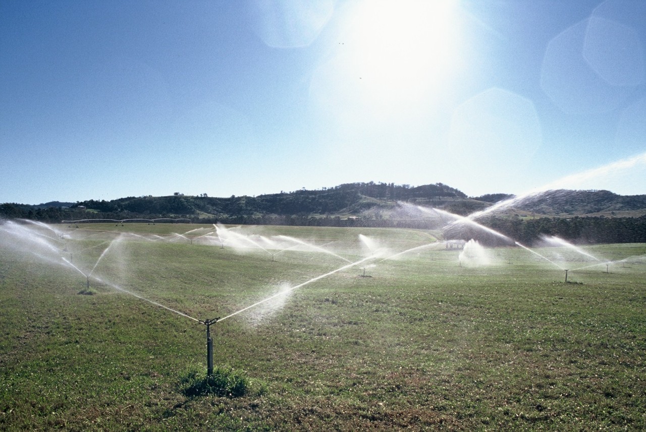 Irrigation with recycled water at Picton Farm