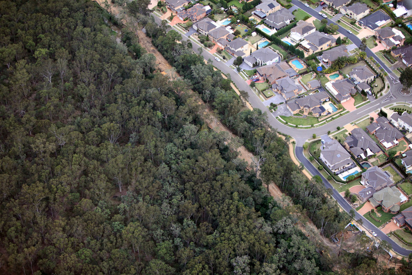 Houses encroaching on bushland