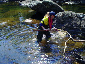Field sampling.